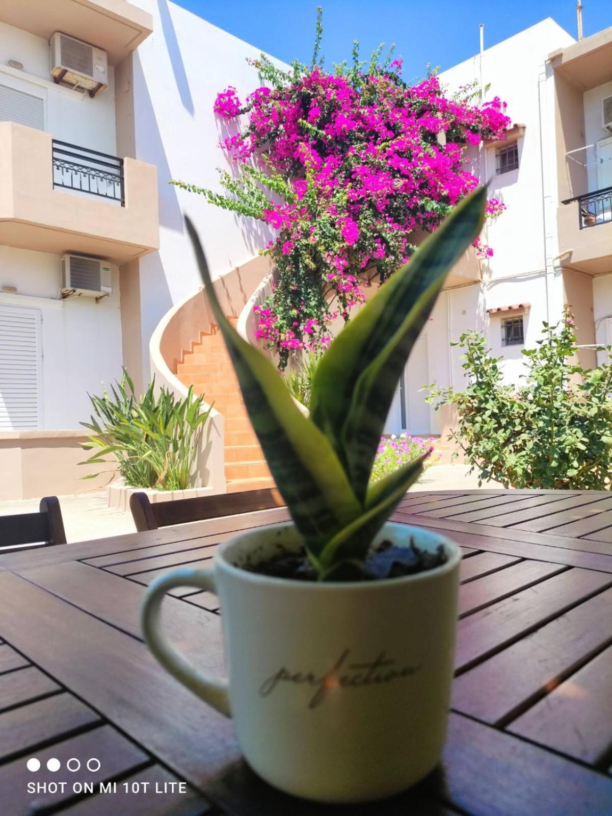 Yannis Apartments Amoudara  Exterior photo